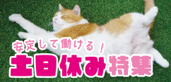 【宇都宮市平出工業団地】大手メーカー製品倉庫でのフォークリフト乗務者《日勤》　直雇用